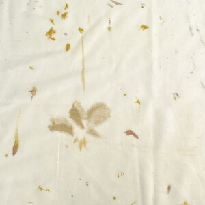 n naniIRO-ijC- Flowers bloom/ȃVNiEGX-11260j 1E.N[ 09Ac04_