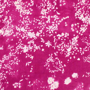 n naniIRO-ijC- Lei nani/I[KjbN_uK[[iEGX-11330j 1A.t{[Y×p[ 09Ac04_