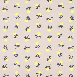 k[֑Ήil n MUDDY WORKS-}fB[NX- ~j[Y/IbNXiEKX-137j 2B.CgO[ 09Ac04_