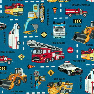 k[֑Ήil n IbNXvg ԁiAP51207Lj 2D.^[RCYu[ 09Ae99_