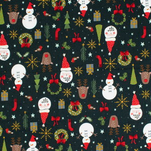 _Ԍ10%OFF^ k[֑Ήil n USARbg RJR-A[WFCA[- JOLLY GOOD TIME W[EObh^C/V[`OiRJ6140j NA2.lCr[ 09Ac04_