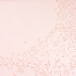 n naniIRO Edelweiss/I[KjbN_uK[[iEGX-11400j 1B.CgsN×p[ 09Ac04_