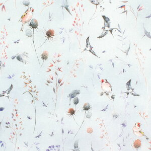 ���n acufactum-�A�N�t�@�N�g�D��- �����̖��@�ƃc�o���̔�s�iACU3523�j 981.�u���[ 09Ac04_