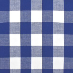 〔メール便対応商品〕生地 ギンガムチェック(240014-8) 805.ブルー 09Bk22_