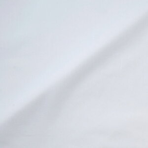 k[֑Ήiln 60ȃ[i174948j 52.ItzCg 09Bm30_