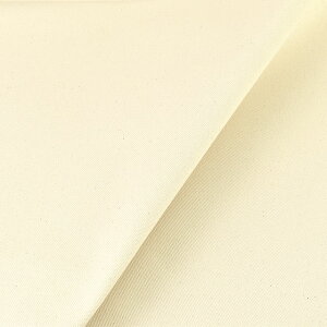 Dpn 6zi196924j  09Cw48_