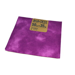 ނ߃JbgNXi800073j F.49 09Ad99_