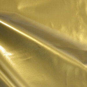 Gin G}C2i160274j 11.S[h 10Bn99_