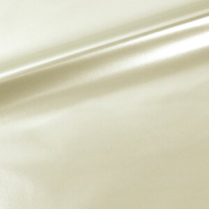 Gin G}C2i160274j 24.Cgx[W/p[^Cv 10Bn99_