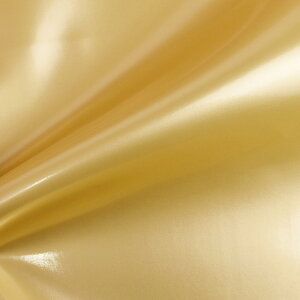 n SPGiiG-60j 100.S[h 10Bn99_