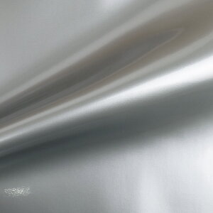 n SPGiiG-60j 101.Vo[ 10Bn99_