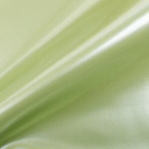 Gin XR[iG-63j 61M.CgO[ 10Bn99_