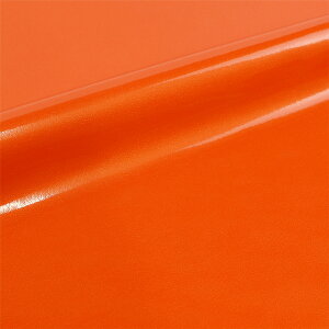 Gin 2WAY OXU[i1010j 12.IW 10Bn99_