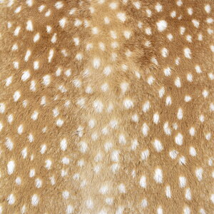 n Aj}{A/ori9470j 2600.L 10Bn99_