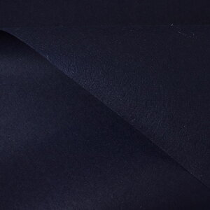 tFgn TtFGR 1mm 558. 10Bm18_