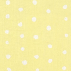 n naniIRO-ijC- POCHO/_uK[[iEGX-10970j 2C.xr[CG[ 09Ac04_