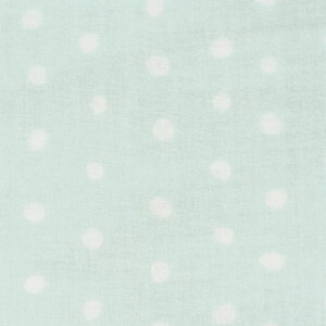 n naniIRO-ijC- POCHO/_uK[[iEGX-10970j 2D.EH[^[ 09Ac04_