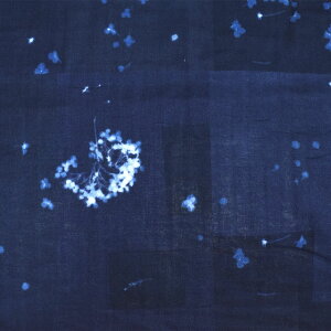 n naniIRO-ijC- F micromosmos/_uK[[iEGX-11280j 1D.lCr[ 09Ac04_
