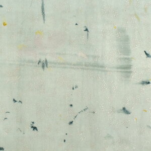 n naniIRO-ijC- Flowers bloomBear fruits/_uK[[iEGX-11250j 1C.O[/p[ 09Ac04_