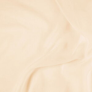 k[֑Ήiln 50DVtHW[[bgi5050j 9.sN 10Bf09_