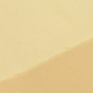 〔メール便対応商品〕接着芯 ダンレーヌ(R111) 薄地〜中肉用 121.ベージュ 09Cx49_