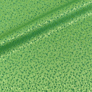 k[֑Ήiln vY|WK[hi120096j 9.CgO[ 10Aa05_