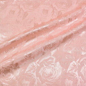 k[֑Ήiln t@V[WK[hiG1000j 20sN 10Aa05_