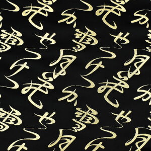 En j2 Esi013-1j  09Bh18_