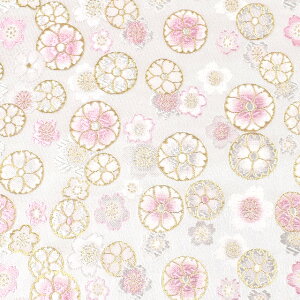 En C ࣖi1-10505j  09Bh18_