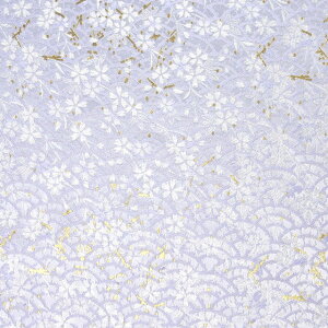 En Ԕh Cgi1-11039-Cj  09Bh18_