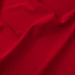 _Ԍ10%OFF^ n GXpiAQA2150j NK523.ݐ 10Bl16_