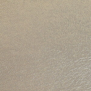 琶n VE\鍇iNFW-1010j 151.Vo[ 10Bn99_