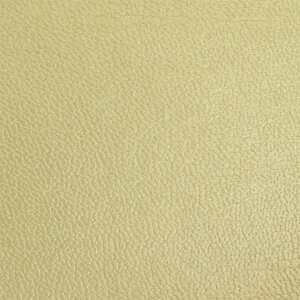 琶n VE\鍇iNFW-1010j 153.CgS[h 10Bn99_