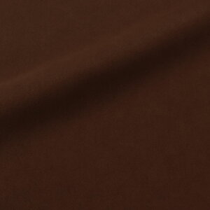 _Ԍ20%OFF^ 琶n PSAXG[hiPS851Aj A-06.Z 10Bn99_