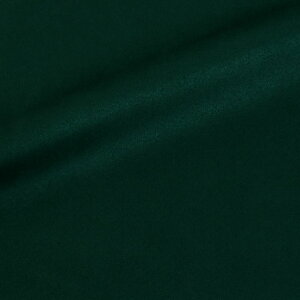 _Ԍ20%OFF^ 琶n THXG[hiAO-3j TH451.fB[vO[ 10Bn99_