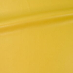 琶n tC}bgU[iF226j 12.݉F 10Bn99_