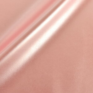 _Ԍ20%OFF^ 琶n Xgb`U[iG-8j 58M.^bNsN 10Bn99_