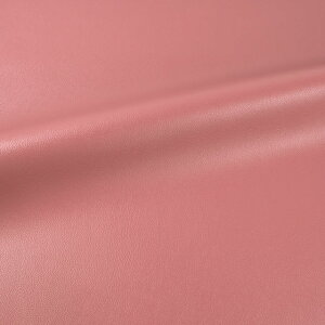 _Ԍ20%OFF^ 琶n K[hU[iGT-Sj 141.݃sN 10Ct33_