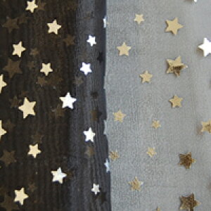 I[KW[n ̃Xe[Wi160305j 6.×Vo[ 10Bg10_