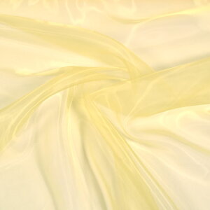 k[֑Ήiln OXI[KW[iT2023j 11.F 10Bg10_