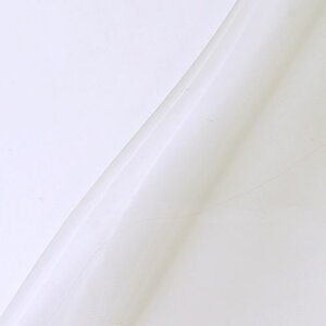 k[֑Ήiln OXI[KW[iT2023j OF.It 10Bg10_