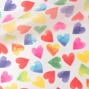 k[֑Ήil n I[KWvg n[g i3060-F40479j F1002 10Bg10_