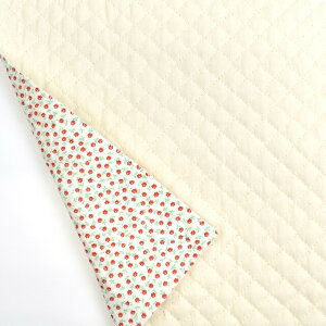 LeBOn o[VuLg n×ԁi4800j 1.LiiJXcj×ԏ 09Bi20_