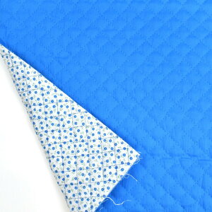 LeBOn o[VuLg n×ԁi4800j 9.XJCu[ 09Bi20_