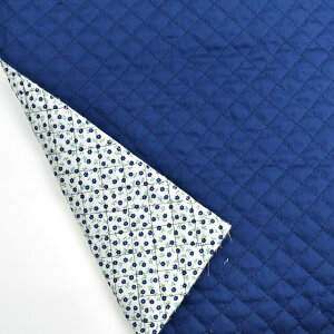 LeBOn o[VuLg n×ԁi4800j 13.lCr[ 09Bi20_