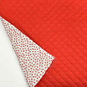 LeBOn o[VuLg n×ԁi4800j 14.bh 09Bi20_