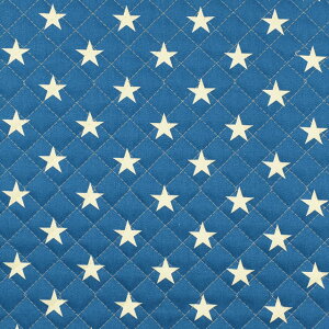 n cCvg /LeBOiQKTS3681j 21.u[×zCg 09Bi20_