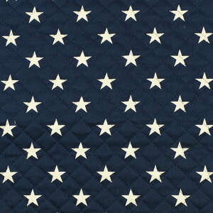 n cCvg /LeBOiQKTS3681j 22.lCr[×zCg 09Bi20_