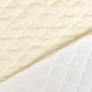 LeBOn xr[Lg niQKC8550j B.Li 09Bi20_