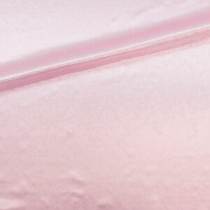 _Ԍ20%OFF^ k[֑Ήil n G{XI[igTei203093j 2.sN 10Af09_